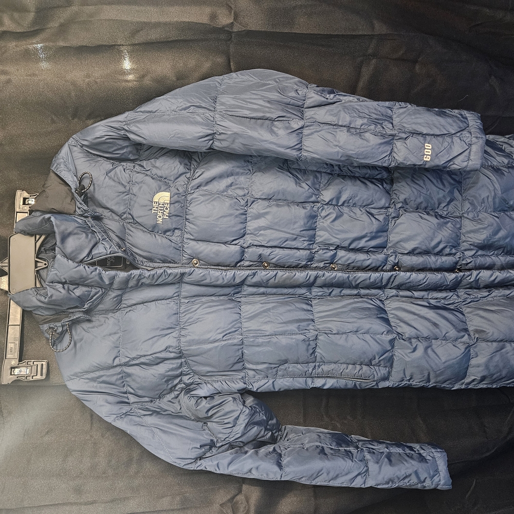 The North Face Blue Puffer Jacket with Stand-Up Collar